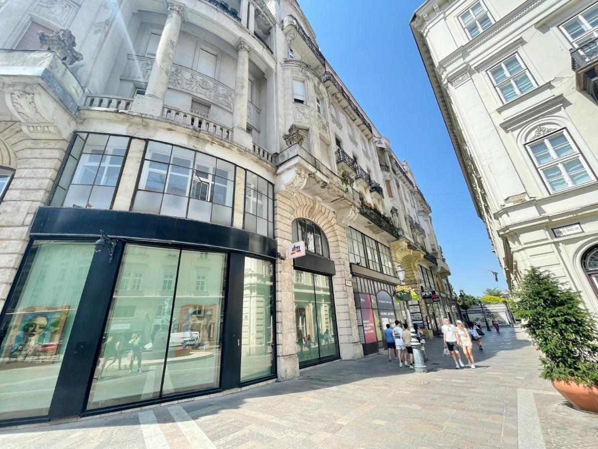 Friend Of Deak Ferenc Apartment Budapest Exterior photo